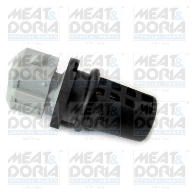 Sensor, intake air temperature